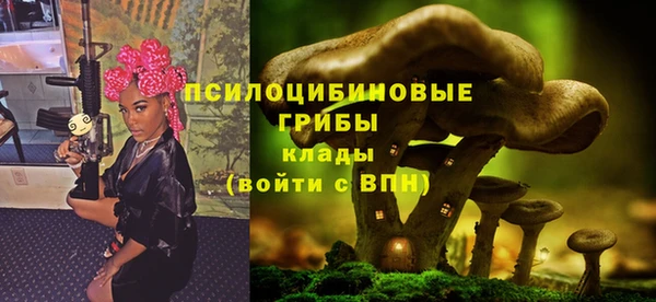 мяу мяу мука Козельск