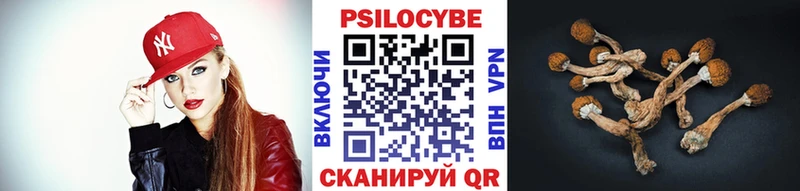 Купить закладки Котлас Галлюциногенные грибы GOLDEN TEACHER